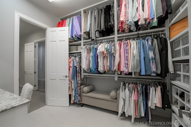 walk in closet with carpet floors