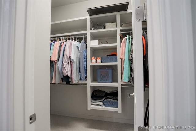 view of closet