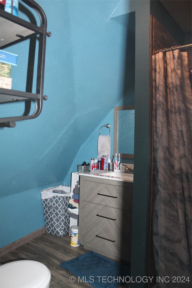 bathroom with wood-type flooring, vanity, walk in shower, and toilet