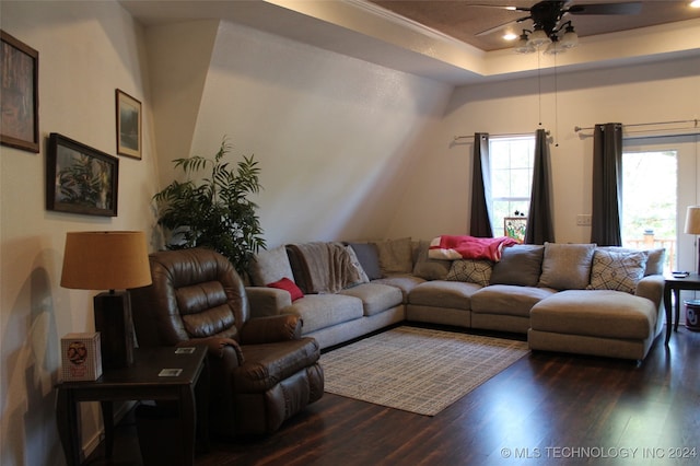 living room featuring ceiling fan, a tray ceiling, and dark hardwood / wood-style flooring