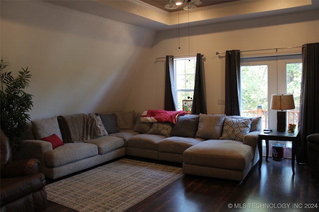 living room featuring plenty of natural light, dark hardwood / wood-style floors, and a raised ceiling