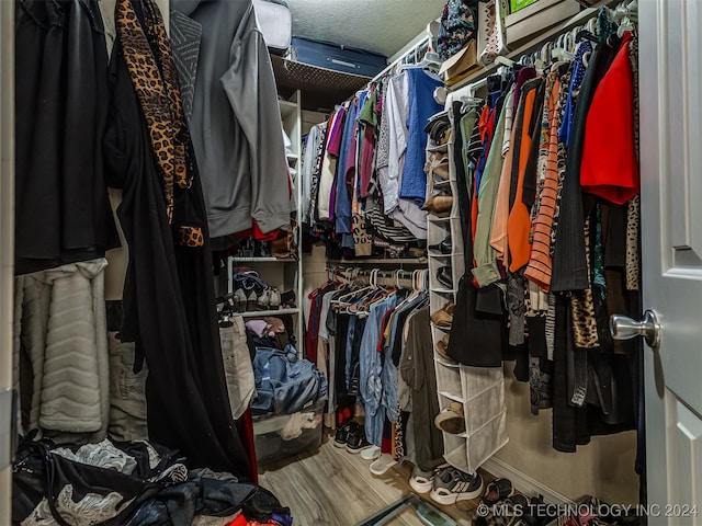 walk in closet featuring wood-type flooring