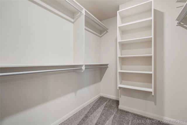 walk in closet with carpet