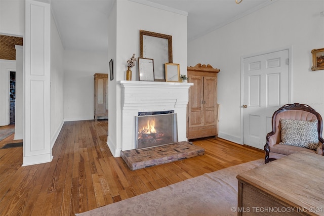 living room featuring a fireplace, crown molding, and light hardwood / wood-style flooring