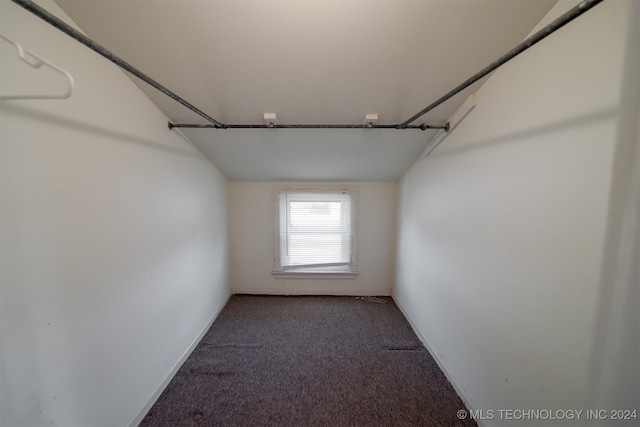 spacious closet with carpet