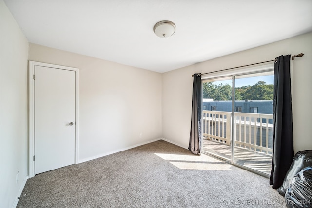 spare room with carpet floors