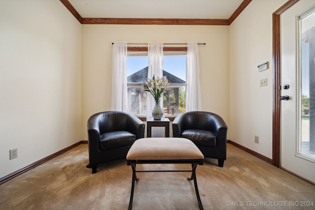 living area featuring light carpet and ornamental molding