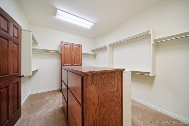 spacious closet with light colored carpet