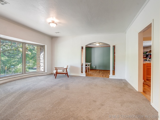 empty room with a textured ceiling, ornamental molding, and carpet