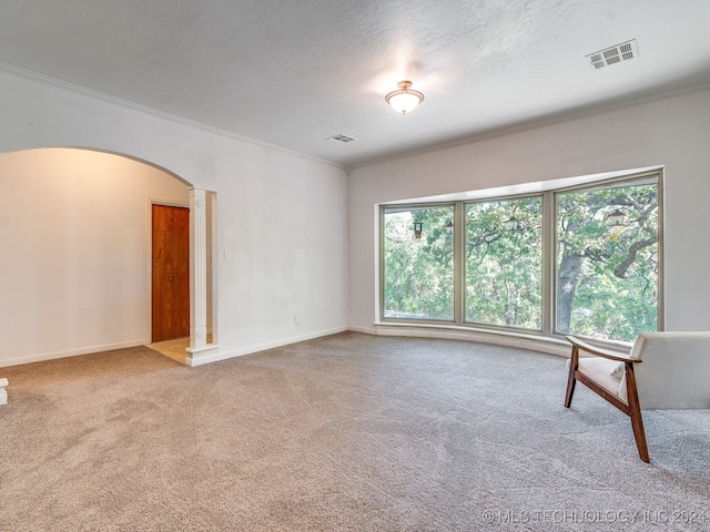 empty room featuring carpet floors, a textured ceiling, and ornamental molding