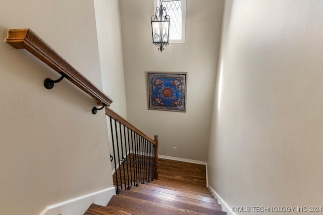 stairs with wood-type flooring