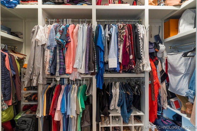 view of walk in closet