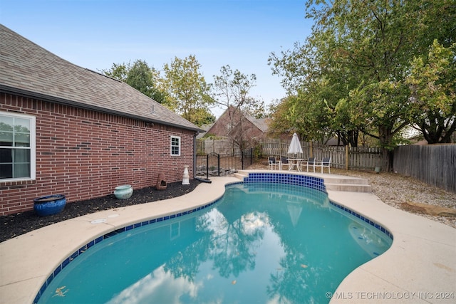 view of swimming pool featuring a patio