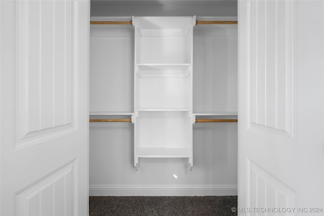 view of closet