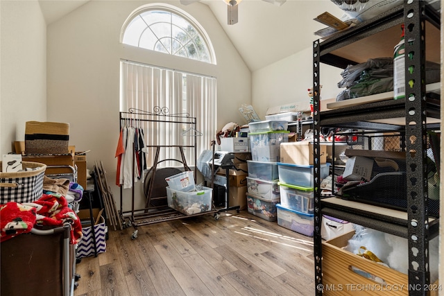 storage featuring ceiling fan