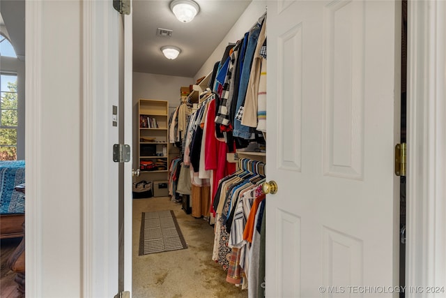 spacious closet featuring carpet flooring