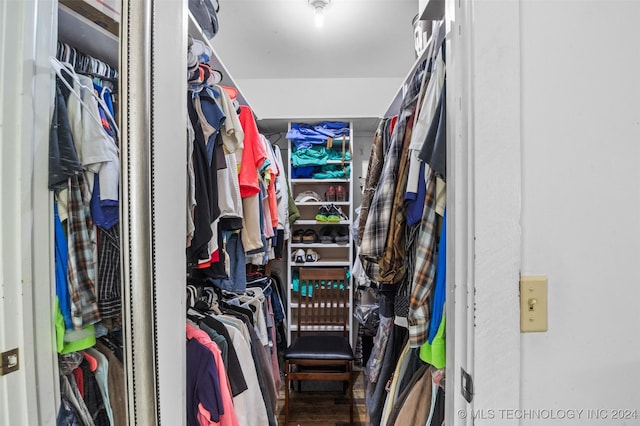 view of walk in closet