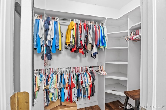 spacious closet with wood-type flooring