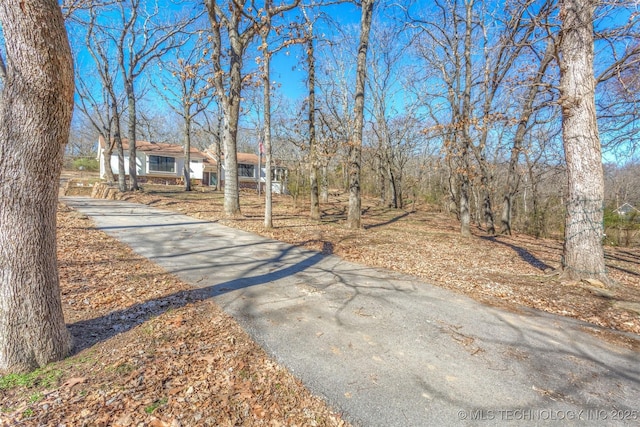 view of street featuring aphalt driveway