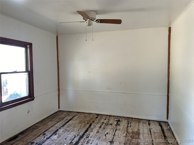 empty room featuring wood-type flooring and ceiling fan