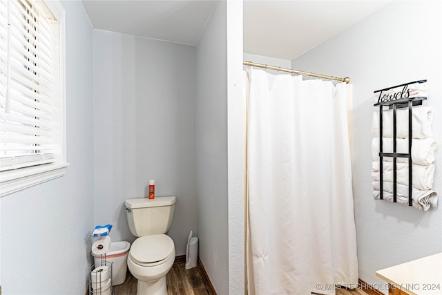 bathroom with hardwood / wood-style flooring, vanity, and toilet