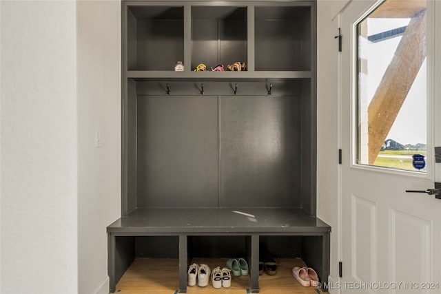 mudroom with wood-type flooring