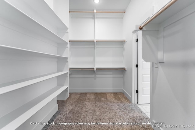 walk in closet with carpet flooring