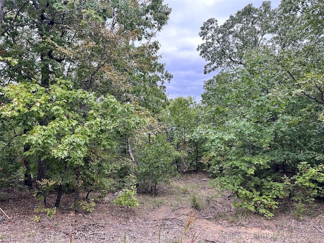 Hunter Rd, Stigler OK, 74462 land for sale