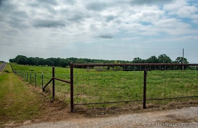 view of yard with a rural view