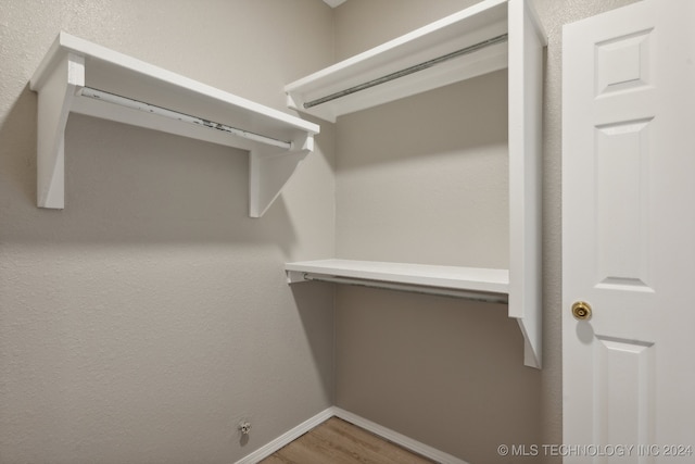 spacious closet featuring wood-type flooring