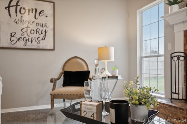 living area featuring carpet flooring