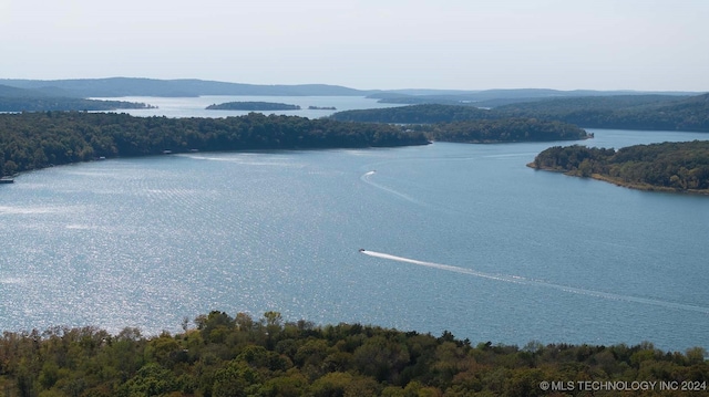 property view of water with a mountain view