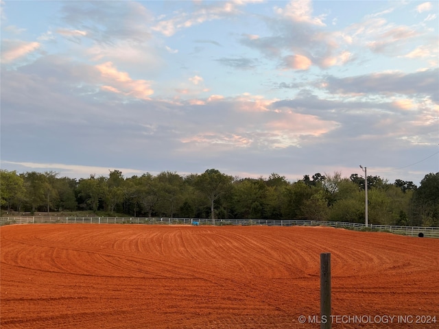 view of yard featuring a rural view