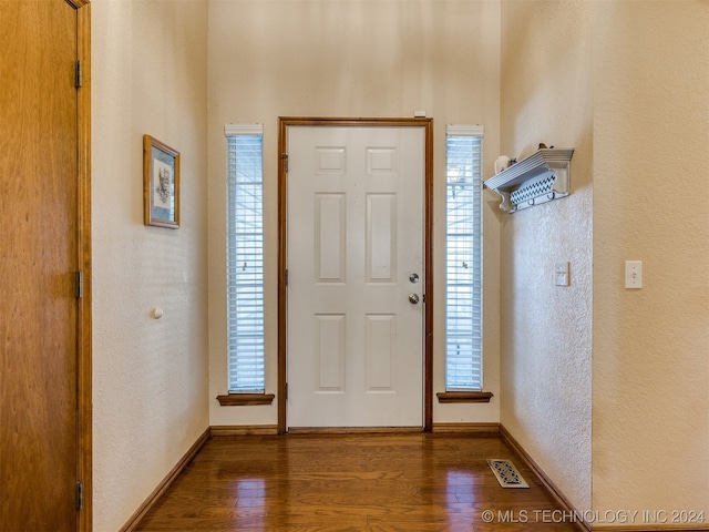 foyer with hardwood / wood-style flooring and plenty of natural light