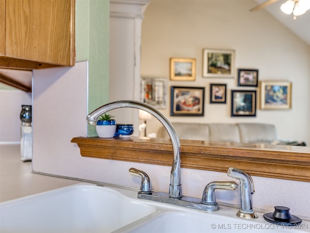 details featuring sink and ceiling fan