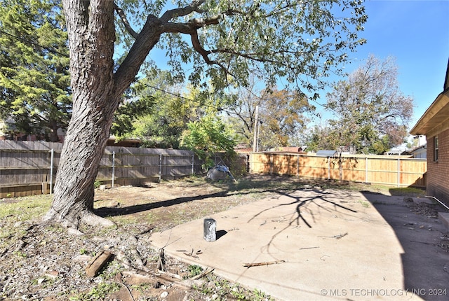 view of yard featuring a patio