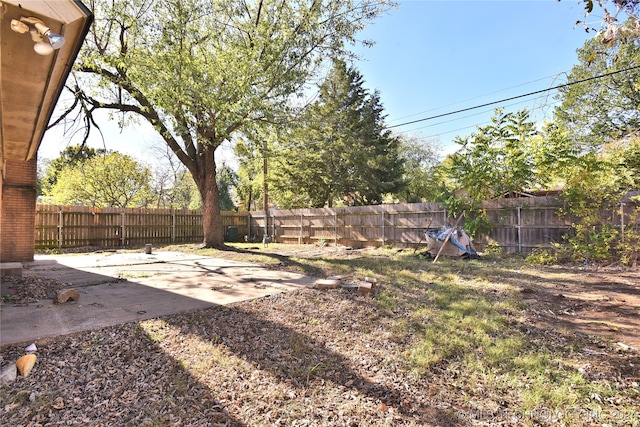 view of yard featuring a patio