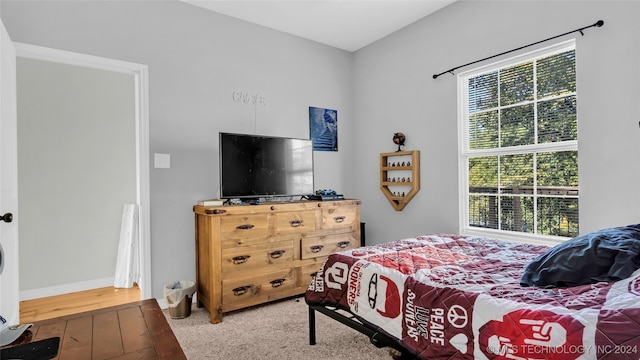 bedroom featuring wood-type flooring