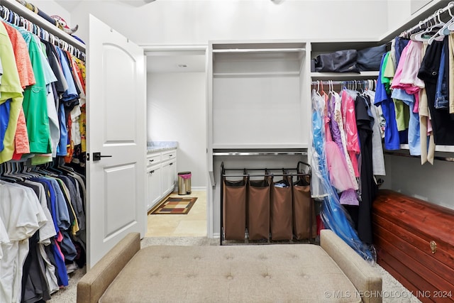 view of spacious closet