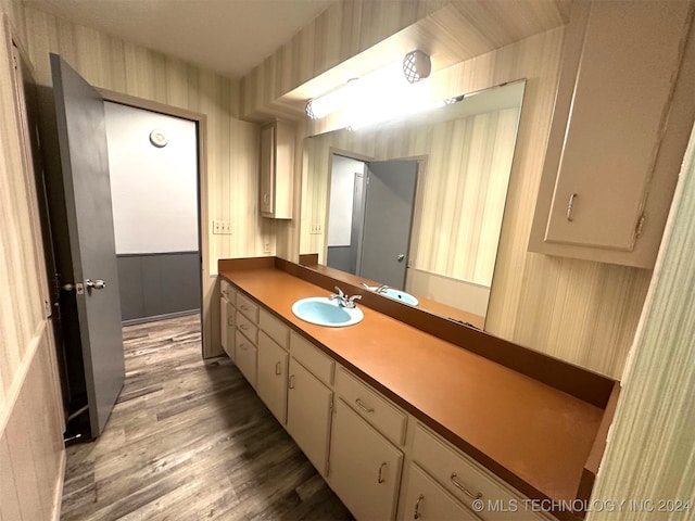 bathroom with vanity and wood-type flooring