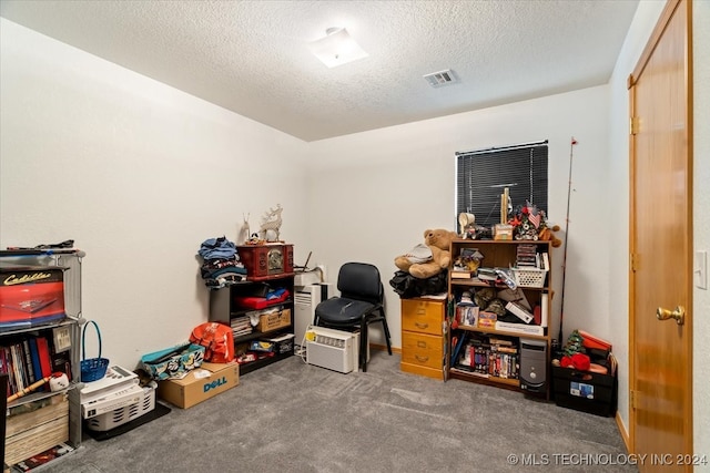 interior space with carpet floors and a textured ceiling