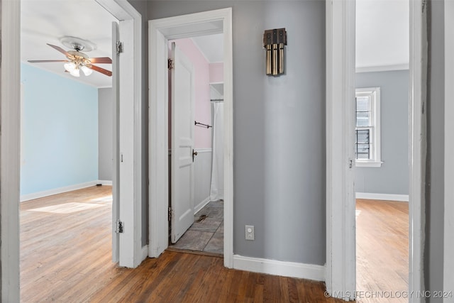 hallway featuring dark wood-type flooring and ornamental molding