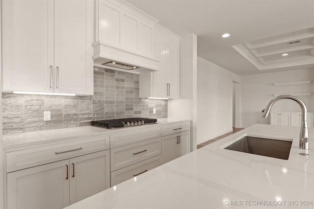 kitchen with tasteful backsplash, white cabinets, light stone counters, and sink