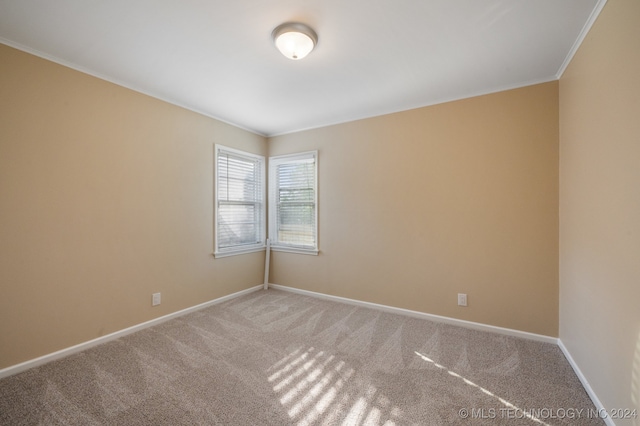 unfurnished room featuring ornamental molding and carpet