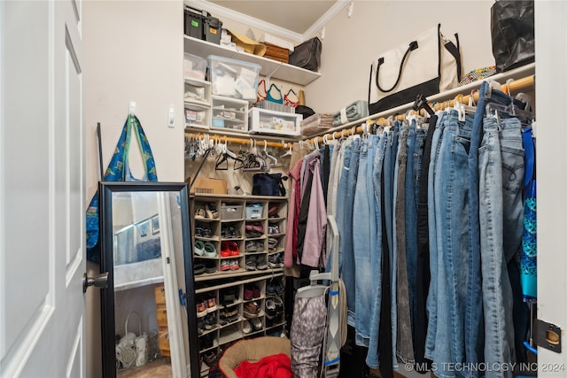 view of walk in closet