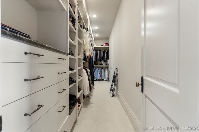 view of walk in closet