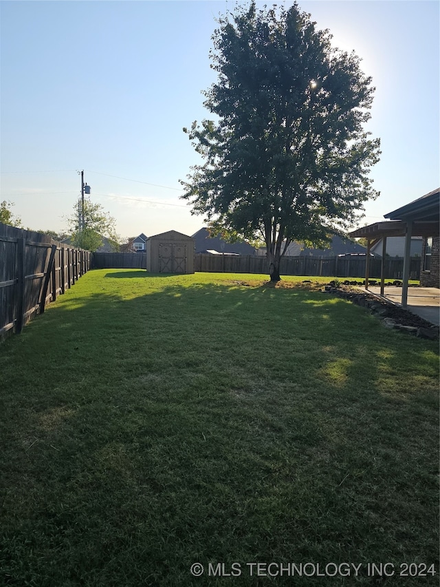 view of yard with a shed