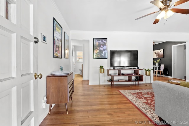 living room featuring ceiling fan, hardwood / wood-style flooring, and crown molding