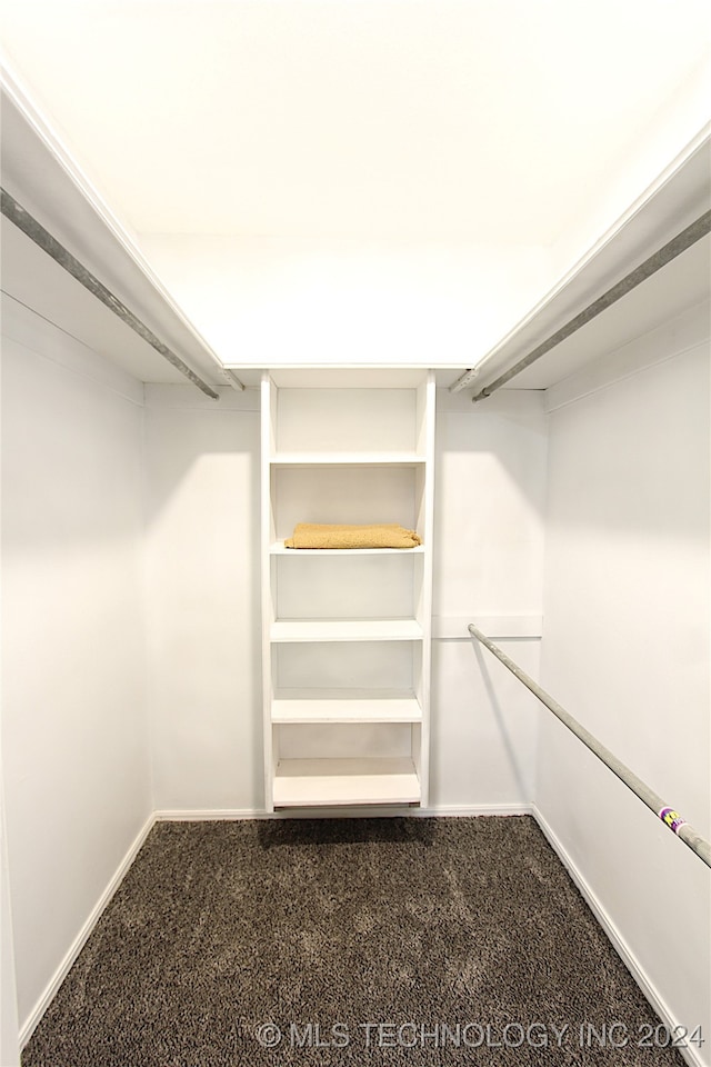 spacious closet with carpet flooring