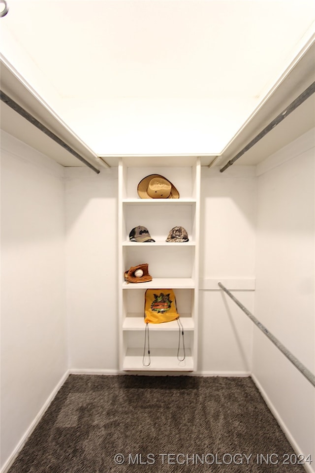 walk in closet featuring dark colored carpet